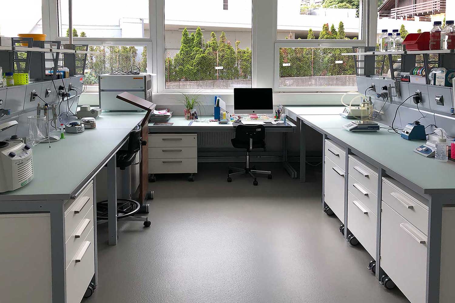 Working space in the BSL-1 lab